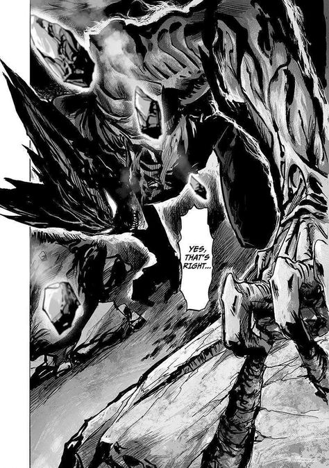 Garou Monster, Monster Garou, One Punch Man Wallpapers, Opm Manga, One Punch Man Manga, One Punch Man Anime, Story Arc, Manga Artist, Punch Man