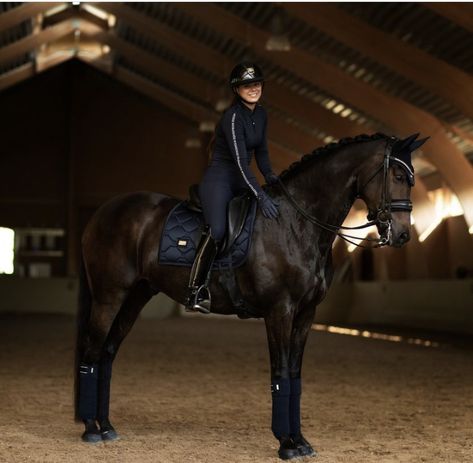 Navy Horse Riding Outfit, Navy Blue Horse Tack, Equestrian Stockholm Saddle Pad, Equestrian Aesthetic Outfit, Rich Equestrian Aesthetic, Wellington Equestrian, Horse Riding Aesthetic, Equestrian Dressage, Horseback Riding Outfits