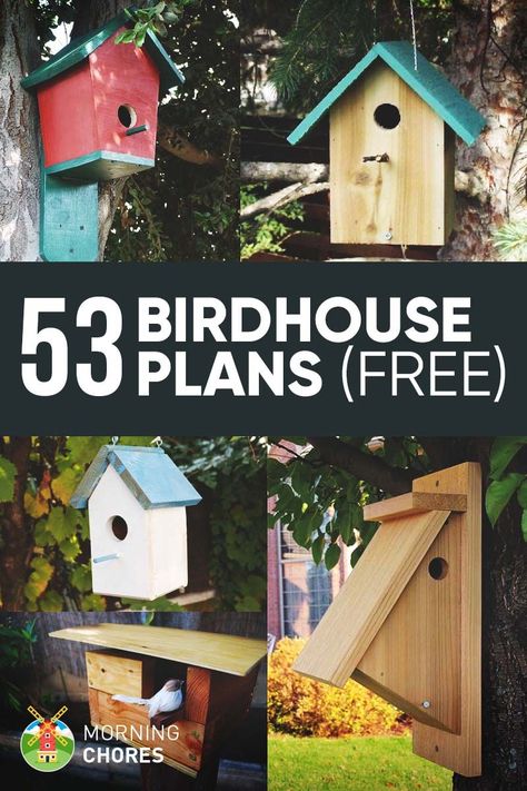 53 DIY Bird House Plans that Will Attract Them to Your Garden Birdhouse Plans, Bird House Plans Free, Bird Feeder Plans, Homemade Bird Houses, Bird Houses Ideas Diy, Bird House Feeder, Bird House Plans, Bird House Kits, Bird Houses Diy