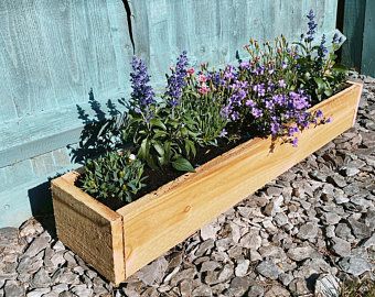 Veg Planters, Garden Edge, Garden Front Of House, Garden Troughs, Trough Planter, Deck Planters, Tiered Planter, Sawn Timber, Vegetable Planters