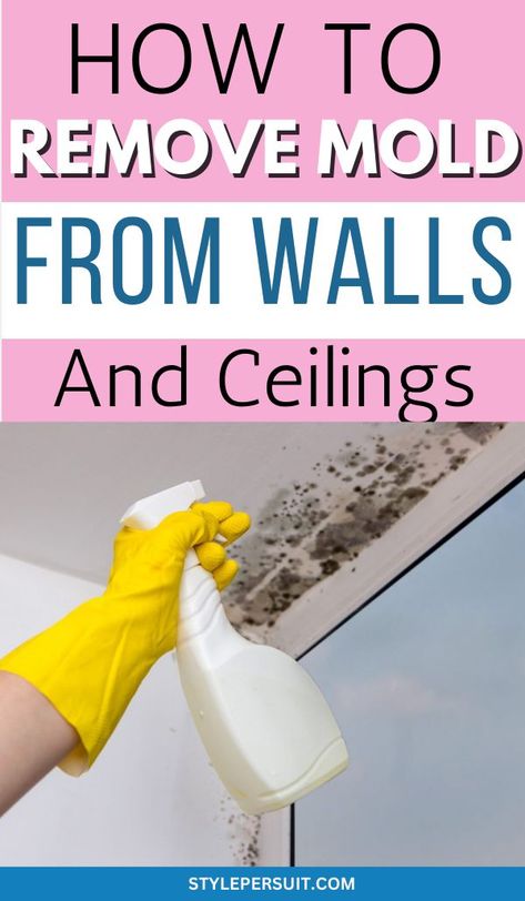 Mold On Walls, Mold On Bathroom Ceiling, Remove Mold From Walls, Diy Mold Remover, Diy Mould Removal, Clean Black Mold, Bathroom Mold Remover, How To Remove Mold, Cleaning Ceilings