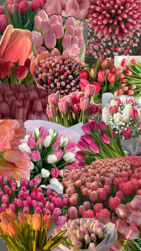 i'm obsessed 😻😻😻😻 Tulip Flower Pictures, Pictures Of Flowers, Luxury Flower Bouquets, Money Flowers, Unique Pictures, A Dark Room, Vintage Flowers Wallpaper, Boquette Flowers, Nothing But Flowers