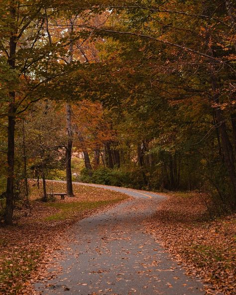 Austin Rutland | I stumbled upon this walking trail in Stowe and had the most peaceful stroll through the falling leaves on a crisp, chilly morning 🤎🍁 my… | Instagram Crisp Autumn Morning, Walking Trail, Chilly Morning, Crisp Autumn, Autumn Morning, Falling Leaves, Walking Trails, Autumn Leaves, Austin