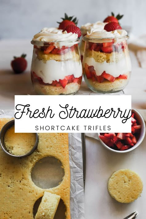 Jul 24, 2020 - These easy strawberry shortcake trifles have a moist lemon cake, fresh strawberries covered in sugar, and whipped cream cheese. Fluffy Lemon Cake, Mason Jar Desserts Recipes, Shortcake Trifle, Strawberry Shortcake Trifle, Easy Strawberry Shortcake, Valentines Desserts, Jar Desserts, Mason Jar Desserts, Recipe Strawberry