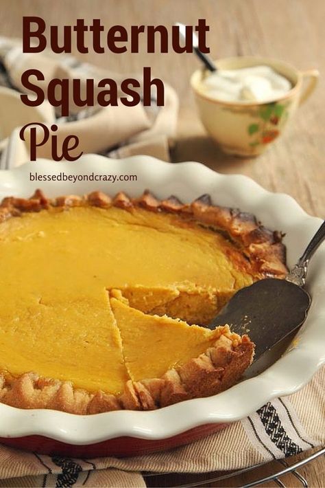 Viola's Never Fail Pie Crust and the Legend of Bob Andy Pie - Pumpkin Trifles, Squash Pie Recipes, Thanksgiving Desserts Pie, Desserts Pie, Butternut Squash Pie, Pecan Bites, Butternut Squash Cinnamon, Squash Pie, Pie Chocolate