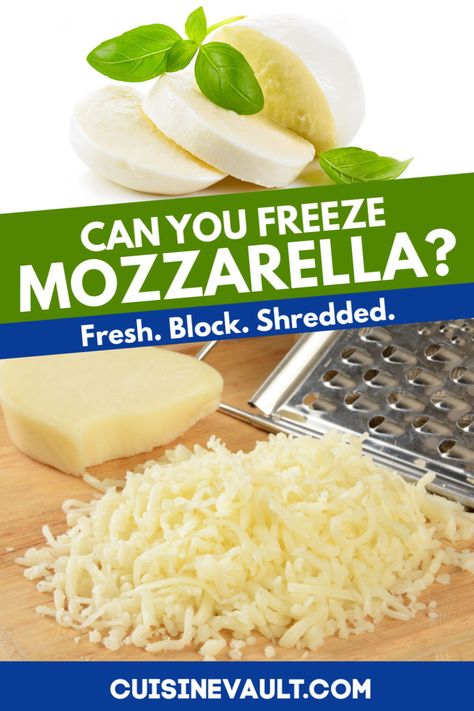 Shredded Mozzarella Recipes, Frozen Mozzarella Sticks, Mozzarella Pizza, Mozzarella Recipes, Fresh Cheese, Mozzarella Sticks, Cheese Sticks, Time To Eat, Fresh Mozzarella