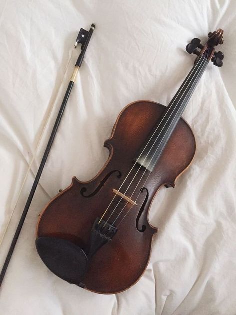 Madeline Books, Goth Family, Violin Photography, Viola Instrument, Jem Carstairs, Wayne Manor, Lexa Y Clarke, Violin Design, Instruments Art