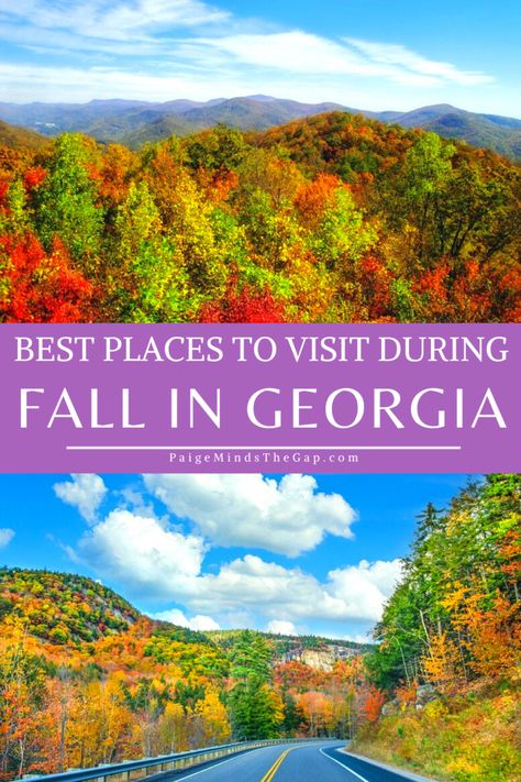 Fall In The South, Georgia Fall, Fall Weekend Getaway, Fall Destinations, Georgia Travel Guide, Georgia State Parks, Visit Georgia, Georgia Vacation, Southern Travel