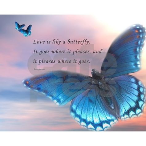 butterfly love Butterfly Love Quotes, Love Is Like A Butterfly, Butterfly Poems, On The Wings Of Love, Barbie Quotes, Butterfly Love, Bear Quote, Butterfly Quotes, Heaven Quotes