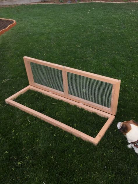 ** GRAZING FRAME/BOX! Salad bar for chickens! (DIY video!) ** | Page 8 | BackYard Chickens Chicken Grazing Boxes Diy, Chicken Entertainment, Chicken Enrichment, Chook Pen, A Frame Chicken Coop, Wicked Chicken, Urban Chicken Farming, Chicken Barn, Chicken Pen