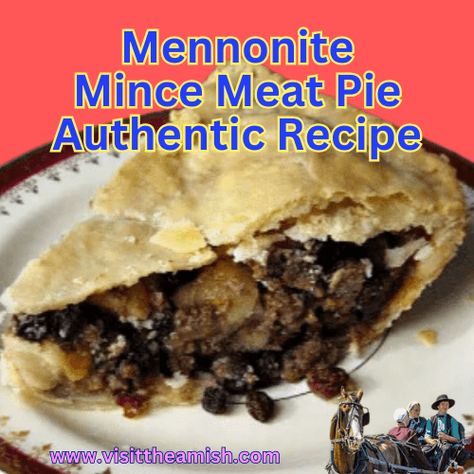 Mince Meat Pie, Mincemeat Pie Filling, Mincemeat Pie, Mince Pie Recipe, Mennonite Recipes, Meat Pie Recipe, Minced Meat Recipe, Pie Filling Recipes, Amish Recipes