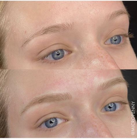 Micro Blading Eyebrows Blonde, Blonde Henna Brows, Blonde Hair Microblading Eyebrows, Ombre Powder Brows Blonde, Microblading For Blondes, Tatooed Eye Brows, Blonde Powder Brows, Taupe Eyebrows, Blonde Microblading Eyebrows