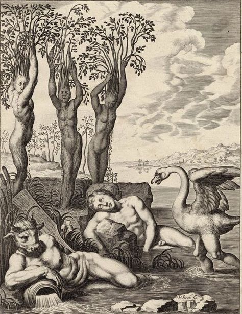 P. Brebiette, Abraham van Diepenbeek, after, 1733 - Cygnus changed  to swan & the Helides to poplars - Catawiki Ovid Metamorphoses, Greek Mythology Tattoos, Mythology Tattoos, Ancient Knowledge, Mythology Art, Art Pencil, Greek Myths, Classical Art, Gay Art