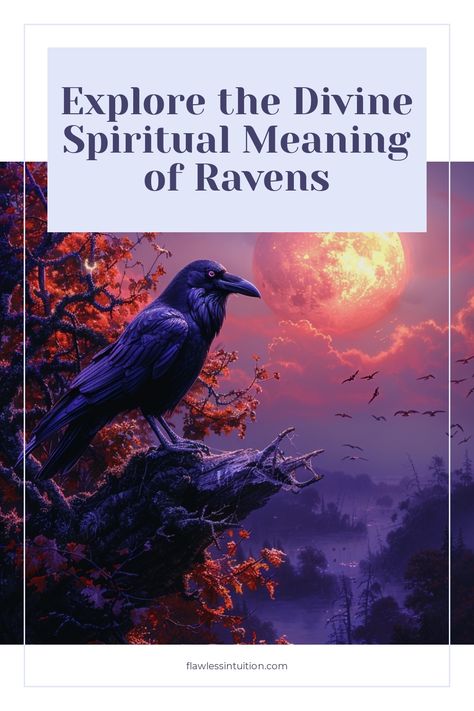 Mysterious raven with symbols Bird Symbolism Meaning, An Enchantment Of Ravens, Bird Symbolism, Dream Meaning, A Kind Of Magic, Ancient Mythology, Dream Meanings, Spiritual Beliefs, Pagan Witchcraft