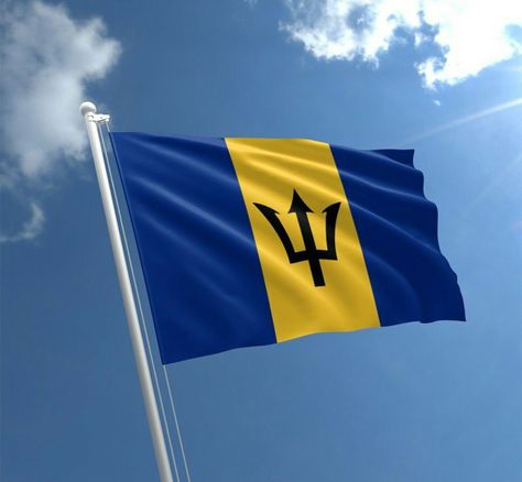 Barbados Flag, Custom Flags, Best Friends Quotes, Flags Of The World, Outdoor Indoor, Eu Flag, Barbados, Country Flags, Peace And Love