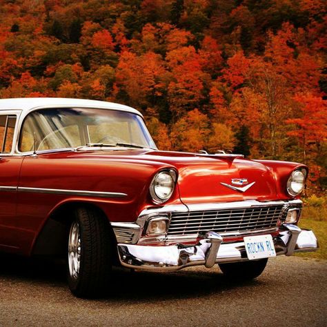 Classic Trucks Vintage, 56 Chevy, Classic Cars Chevy, Classic Chevrolet, Car Chevrolet, Classic Motors, Old Classic Cars, Chevrolet Bel Air, Vintage Trucks