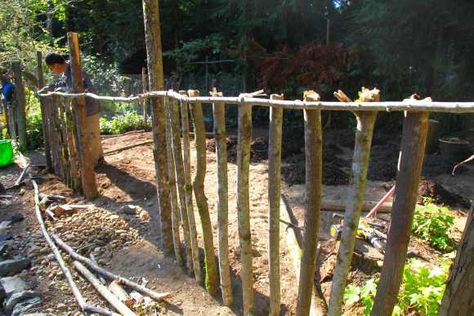 Build a Stick Fence | Pioneering The Simple Life Tree Limb Fence, Rustic Wood Fence, Stick Fence, Branch Ideas, Rustic Garden Fence, Geo Dome, Fence Trees, 1000 Lifehacks, Garden Goals