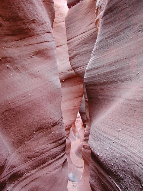 Slot Canyon at the end of Labyrinth Canyon Arizona USA Slot Canyons, Texture Inspiration, Rosé Aesthetic, Collage Vintage, Color Inspo, Everything Pink, Color Textures, Pink Aesthetic, Wall Collage