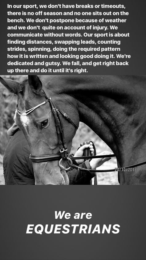 Equestrian Motivation Quotes, Horse Motivation Quotes, Horse Riding Motivation, Equestrian Aesthetic Wallpaper, Equestrian Wallpaper, Equestrian Motivation, Lord Tyrion, Cute Horse Quotes, Motovational Quotes