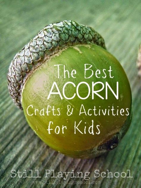 The Best Acorn Crafts, Activities, and Snacks for Kids from Still Playing School Acorn Crafts, Preschool Fall, Fall Preschool, Crafts And Activities For Kids, Fall Crafts For Kids, Autumn Crafts, Fall Theme, Forest School, Fall Activities