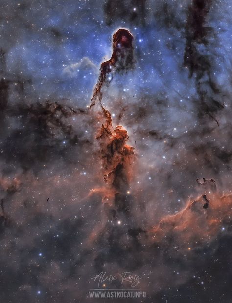 Hubble Space Telescope Pictures, Cosmos Space, Astronomy Facts, Nebulas, James Webb, Space Photography, Angel Images, James Webb Space Telescope, Space Images