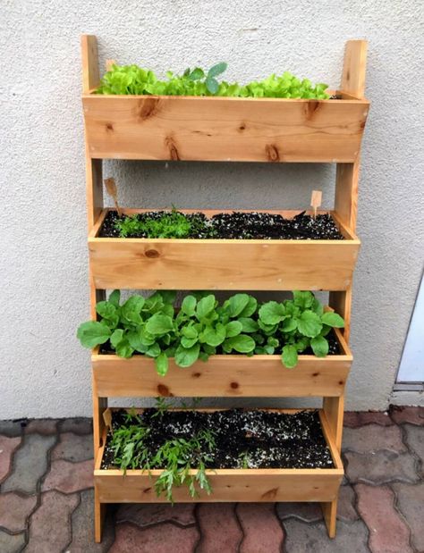 Apartment Planter Boxes, Stacked Planter Boxes, Herb Boxes Outdoor, Plant Boxes Outdoor, Balcony Planter Boxes, Pallet Dog Bed, Vegetable Planter Boxes, Herb Planter Box, Hanging Planter Boxes