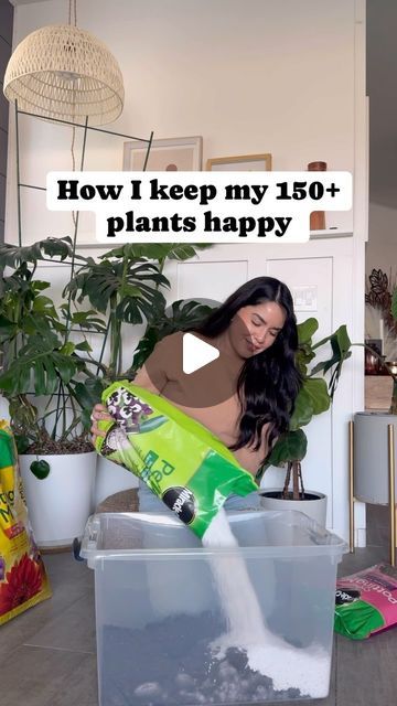 Homemade Plant Fertilizer, Garden Scapes, Land Scaping, Fungus Gnats, Garden Hacks Diy, Lots Of Plants, Plant Tips, Yard House, Orchid Bark