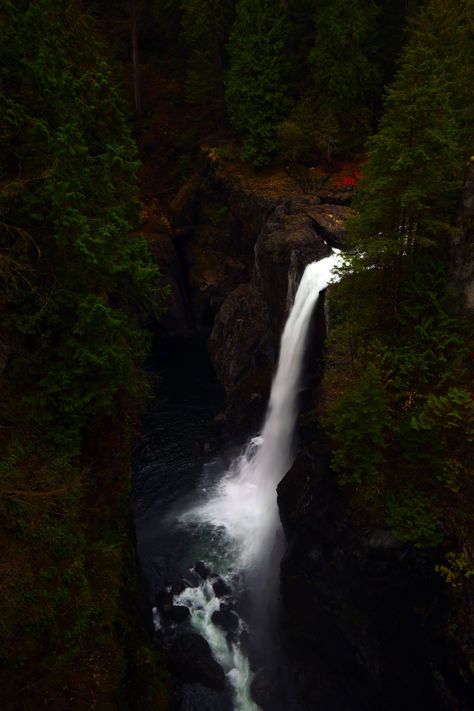 Elk Falls Suspension bridge.  Campbell river, British Columbia. Vancouver island  Shannon Koroll Photography Campbell River, Suspension Bridge, Vancouver Island, British Columbia, Elk, Vancouver, Columbia, Bridge, Gems