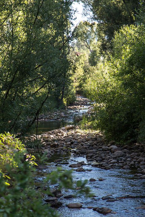 Babbling Brook Water Feature, Counting Blessings, Babbling Brook, Ideal Aesthetic, Ski Town, Refreshing Water, Mountain Living, Mountain Stream, Steamboat Springs