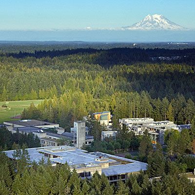 A shot of Mount Rainier viewed from the campus of my alma mater, Evergreen State College in Olympia Campus Design, Olympia Washington, Space Tourism, Evergreen State, Dream School, College Campus, State College, Sunset Photos, Birds Eye View