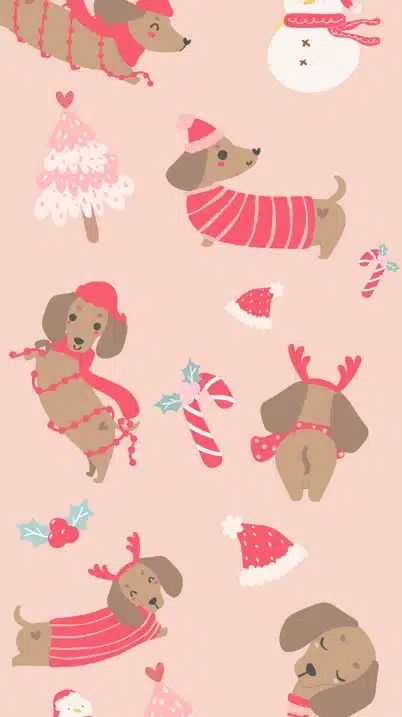 Dachshund wallpaper, dachshund phone wallpaper, dachshund wallpaper for phone, dachshund aesthetic, dachshund background, dachshund lockscreen Dachshund Christmas Pictures, Christmas Weiner Dog Wallpaper, Christmas Dachshund Wallpaper, Christmas Animal Wallpaper, Cute Wallpaper Christmas, Dachshund Wallpaper Iphone, Sausage Dog Wallpaper, Daschund Wallpaper, Christmas Wallpaper Cartoon