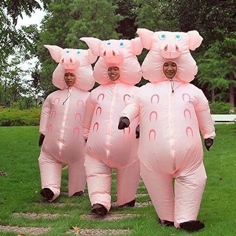 Golden Girls Costumes, Funny Group Costumes, Pig Halloween Costume, Funny Group Halloween Costumes, Group Costume Ideas, Pig Halloween, Best Group Halloween Costumes, Trio Costumes, Pig Costumes