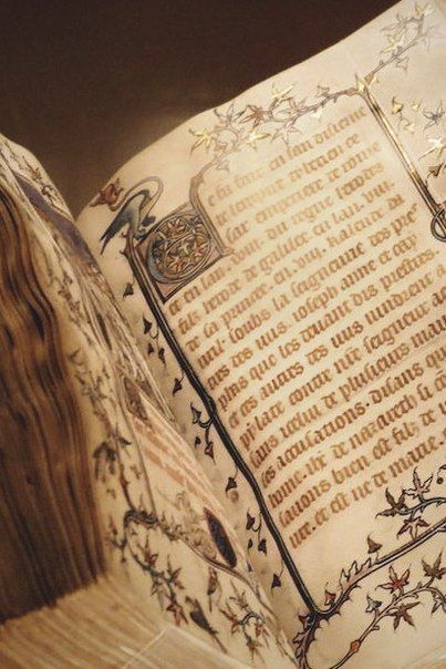 Ella Enchanted, Raindrops And Roses, Royal Core, Medieval Aesthetic, Fairytale Aesthetic, An Open Book, Barbara Gordon, Royal Aesthetic, Fotografi Vintage