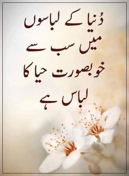 Golden Words In Urdu, Savvy Quotes, Golden Words, Love Quotes In Urdu, Impress Quotes, L Quotes, Inspirtional Quotes, Islamic Quotes On Marriage