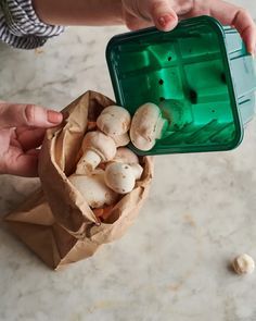 Storing Mushrooms, Can You Freeze Mushrooms, Moral Mushrooms, How To Store Mushrooms, Mushroom Storage, Meatless Monday Dinner, White Button Mushrooms, Mushroom Dish, Button Mushroom