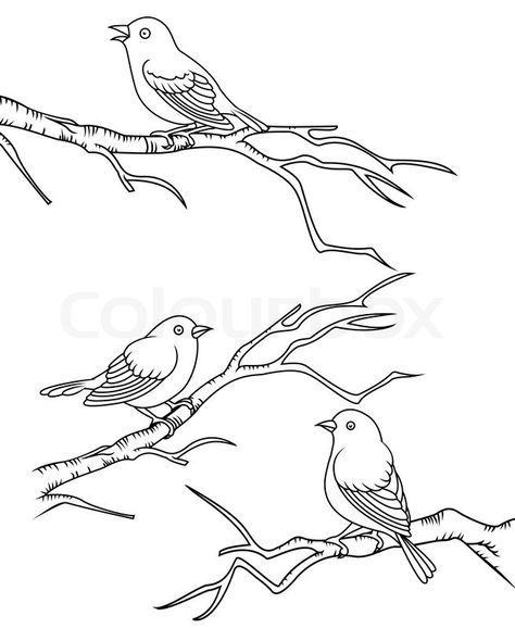 Birds On Tree Drawing, Clip Art Drawings, Sitting Drawing, Bird Line Drawing, Bird Sitting On A Branch, Creation Coloring Pages, Branch Drawing, Group Art Projects, Easy Disney Drawings