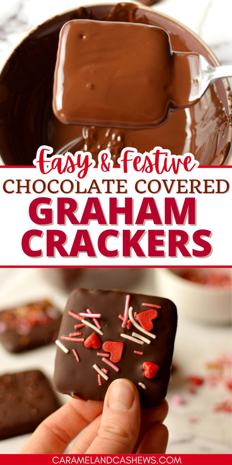 hand holding a chocolate covered graham cracker Homemade Snacks For Adults, Chocolate Covered Graham Crackers, Graham Cracker Recipes, Chocolate Festival, Frozen Chocolate, Halloween Chocolate, Chocolate Drip, Cracker Recipes, Homemade Snacks