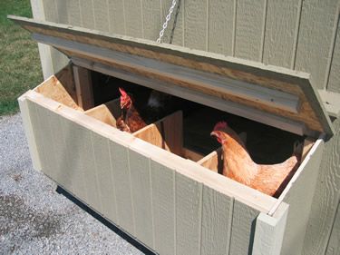 The nesting box has access from outside. The lid hooks, so you can reach the eggs easily. Little Cottage Company Chicken Coop Kits Nesting Boxes Nesting Boxes with Exterior Egg Access 4 x 6: 4 nesting bins for 8 to 12 hens 6 x 8: 6 Nesting Bins for 8 to 22 hens Nesting Boxes Diy, Chicken Coop Kit, Gambrel Barn, Chicken Roost, Chicken Barn, Portable Chicken Coop, Chicken Shack, Nesting Box, Diy Chicken Coop