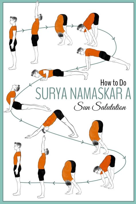 Surya Namaskar Step By Step, Sun Salutation A, Website For Students, Yoga Chart, Yoga Sun Salutation, Morning Yoga Workouts, Yoga Steps, Yoga Website, Yoga Sequence For Beginners