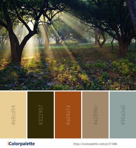 Color Palette Theme, Pallet Inspiration, Color Moodboard, Woodland Tree, Color Palette Ideas, Forest Grove, Orange Color Palettes, Morning Nature, Palette Design