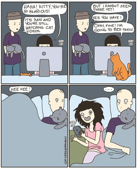 14 Life Situations Every Cat Owner Deals With On a Daily Basis (Comics) - I Can Has Cheezburger? Cat Vs Human, Cat Template, Cat Comics, Silly Things, Great Cat, Cat People, Kid Memes, Funny Cat Videos, Cats Meow