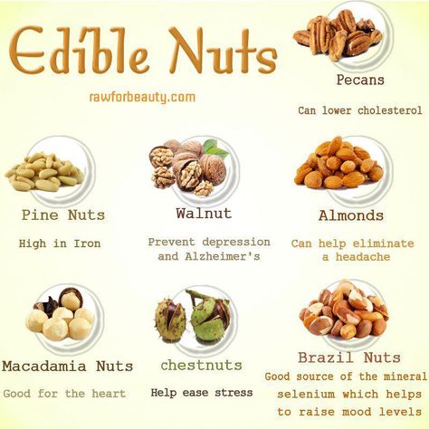 Nuts that are good for you and yummy too! #eatclean #cleaneating #nuts Pine Nuts Benefits, Brazil Nuts Benefits, Nuts Benefits, Brazil Nut, Healthy Nuts, Brazil Nuts, Eat Clean, Energy Drink, Lower Cholesterol