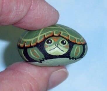 Turtle Rocks, Turtle Painted Rocks, Rock Pictures, Turtle Rock, Garden Rock Art, Painted Rock Animals, Painted Rocks Kids, Paint Rocks, Rock And Pebbles