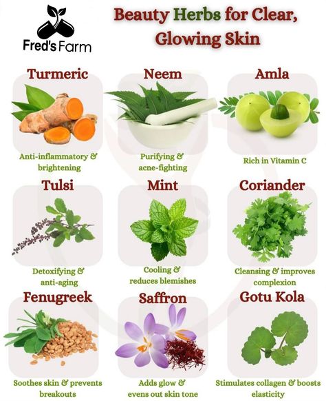 Muscle Chart, Herbs For Skin, Hair Care Recipes, Good Morning Flowers Gif, Diy Body Care, Life List, Herbal Healing, Flowers Gif, Diy Body