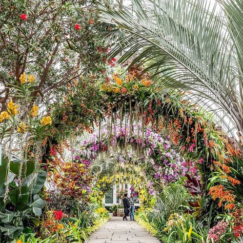 The Arches of Singapore's National Orchid Garden are world-renowned for their beauty, diversity of flowers, and artful presentation. At… Events Place, New York Botanical Garden, Orchid Show, Orchid Garden, New York Tours, Orchids Garden, Flower Installation, Floating Flowers, Hanging Garden