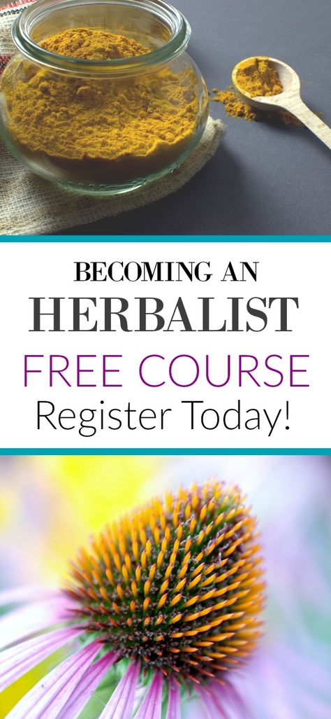 Herbalist Classes, Herbalism 101, Free Online Herbal Courses, Free Herbalism Courses, How To Become A Certified Herbalist, How To Be A Herbalist, Beginners Guide To Herbalism, Herbalism Books, Books For Herbalists