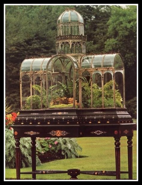 So intrigued by this terrarium. 19th Century Wardian case reproducing the 1851 Crystal Palace Exhibition in London. Victorian Terrariums, Wardian Case, Plants Growing, Garden Terrarium, Terraria, Bird Cages, Miniature Garden, Glass House, Dream Garden