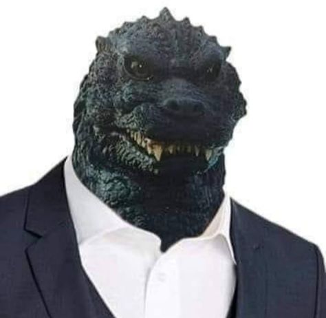 Cursed Godzilla Images, Godzilla Matching Pfp, Godzilla Profile Picture, Godzilla Memes Funny, The Man In The Suit Godzilla, Mechagodzilla Kiryu, Godzilla Pfp, Funny Godzilla, Godzilla Tattoo