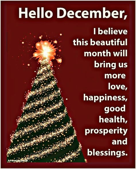 1st December Quotes Christmas, 1 December Quotes, December Quotes Happy, Happy New Month December, Welcome December Quotes, New Month Greetings, Hello December Quotes, Hello December Images, December Wishes