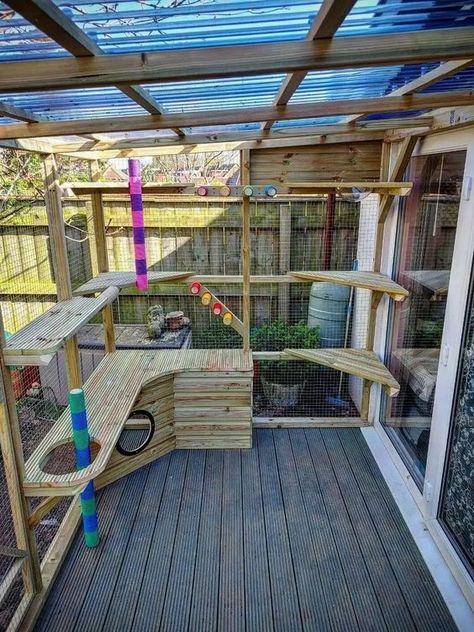 Inside Catio Ideas, Homemade Catio Ideas, Large Catio Ideas, Catio Cat Decor, Indoor Catio Cats, Catio Accessories Diy, Free Catio Blueprints, Catio Shelving Ideas, Greenhouse Catio